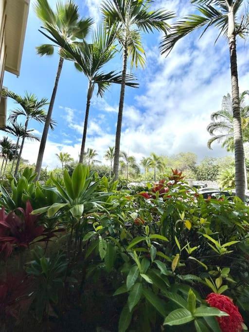 Amazing Peaks Of Ocean View On Ali'i Dr By Surf Spots